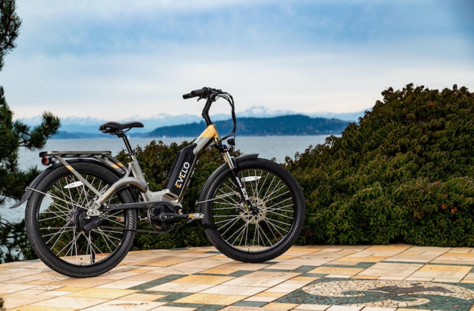 import-of-electric-bicycles