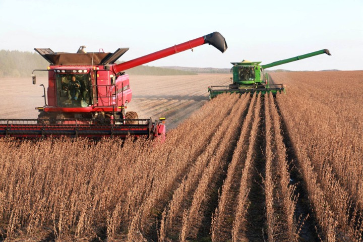 Import of animal feed from China and Dubai